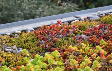 the cost of Aldermaston Wharf green roof installation