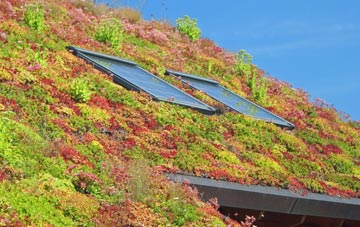 Aldermaston Wharf living roof systems
